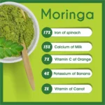 Moringa Bottle for Social Media without BG